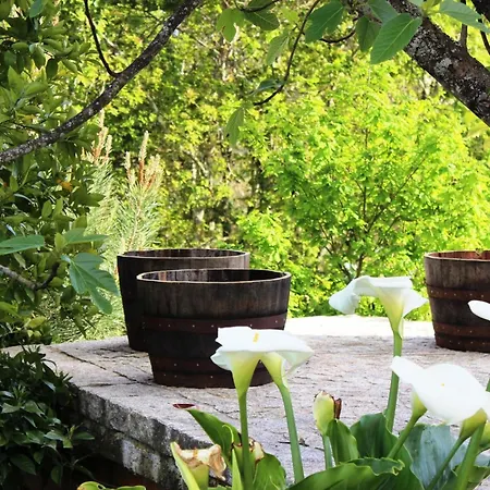 Renoviertes Fuer 4 Personen In By Interhome Σπίτι διακοπών *