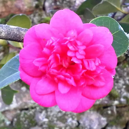 Renoviertes Fuer 4 Personen In By Interhome Τοντέλα