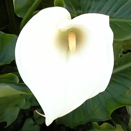 Renoviertes Fuer 4 Personen In By Interhome