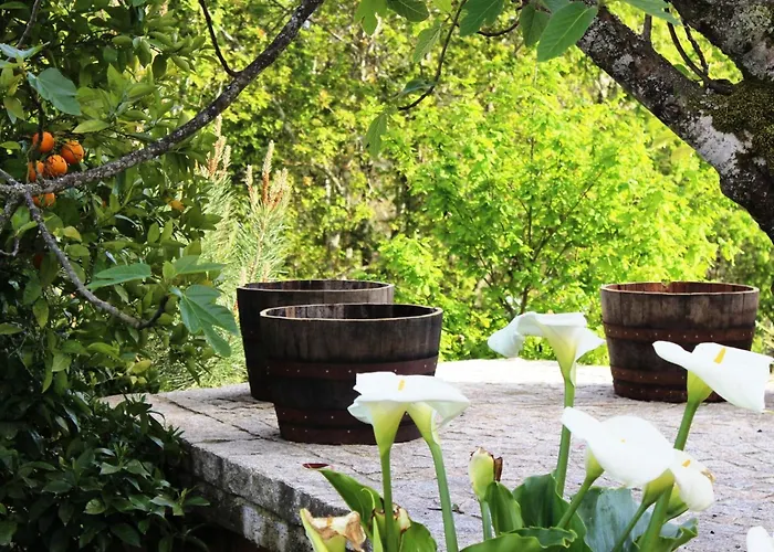 Renoviertes Fuer 4 Personen In By Interhome Tatil Evi *