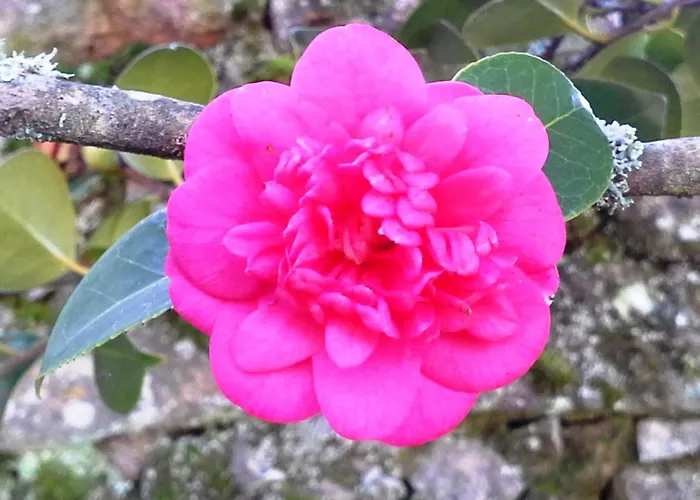 Renoviertes Fuer 4 Personen In By Interhome Tondela