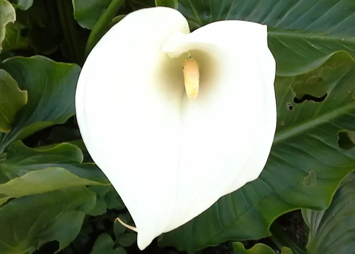 Renoviertes Fuer 4 Personen In By Interhome